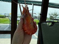 -七的湖·晚芳亭·阳澄湖农家菜·大闸蟹(莲花岛店)