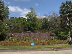 -洱海月湿地公园