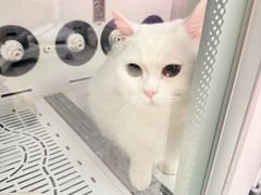 -FAELING PETS美天灵宠物(富力广场店)