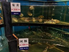 水产区-莆鑫海鲜城(浏河店)