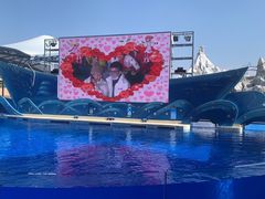 -上海海昌海洋公园