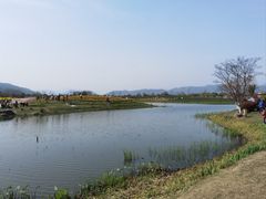 -径山花海