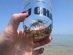 -ChanDu躔度咖啡(灯塔店)