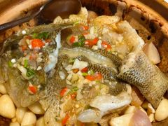 -点都德·毕德寮