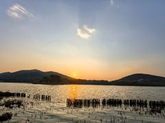 -长广溪湿地公园