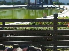 -黄山悦榕庄明月白云餐厅