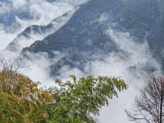 -江南天池