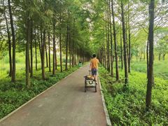 -柳鹭田园区