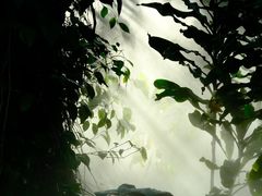 -中山路步行街