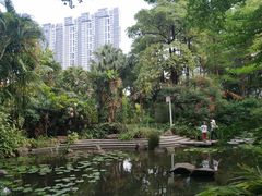 -广州珠江公园
