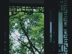 -老君山