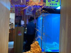 -鳗鱼家·深夜食堂(军博店)