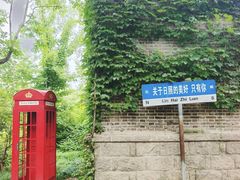 -泗洪洪泽湖湿地景区