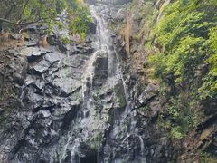 -青青世界