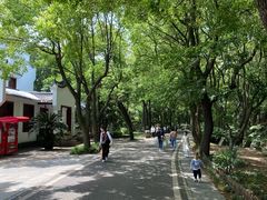 -东湖落雁景区