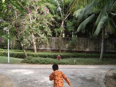 -三亚海棠湾万丽度假酒店