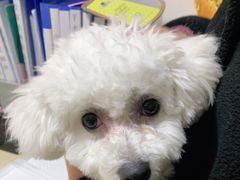 -安安宠医·安宠宠物医院