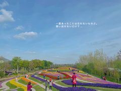 -南通洲际绿博园