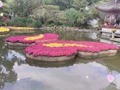-汇龙潭