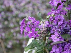 -上海山野camping·户外天幕烧烤·团建拓展营地