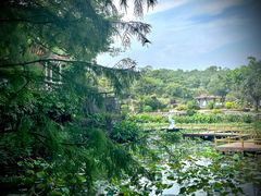 -广州莲花山旅游区