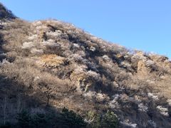 -妙峰山风景名胜区