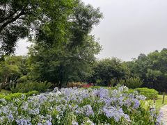-五缘湾湿地公园