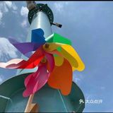 六一溜娃｜在室外让娃用体力与阳光抗争吧