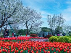 -玄武湖景区-情侣园游乐场