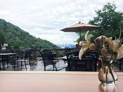 -韬光茶庵