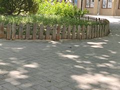 -莲花池公园