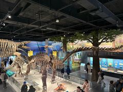 -国家自然博物馆