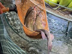 -南棠馆粤菜坊(销品茂店)