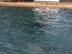 -腾冲洞山温泉村