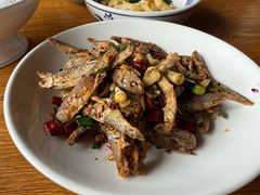 -印象鲵宴·张家界地标美食名片(溪布街店)