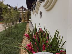 -北湖公园