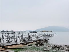 -罗源湾8号渔排