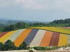 -富田农场