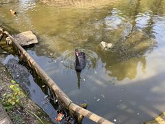 -济南野生动物世界