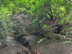 -大岭沟猕猴桃谷风景区