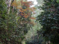-火炉山森林公园