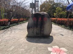 -高东镇樱花园