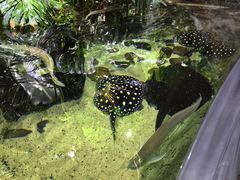 -江和美海洋公园