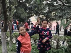 -武汉大学-樱园