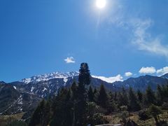 -硗碛藏寨·神木垒景区