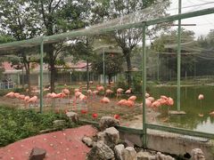 -石家庄市动物园