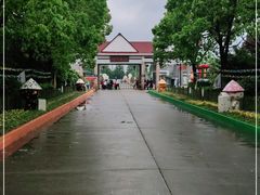 -上海都市菜园
