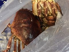 -盒马鲜生(大成店)