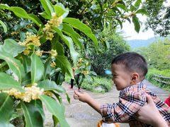 -杭州少年儿童公园