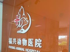 -瑞派福兴宠物医院犬猫全科·骨科·中西医结合(河东店)